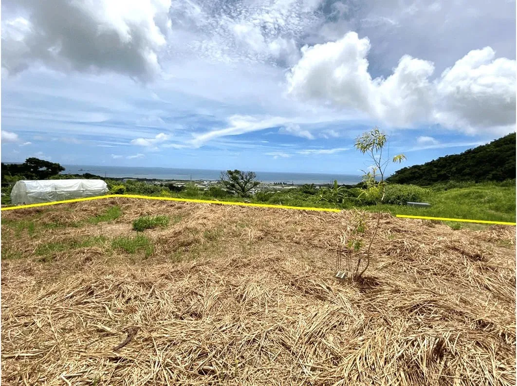 中城村奥間農地215坪