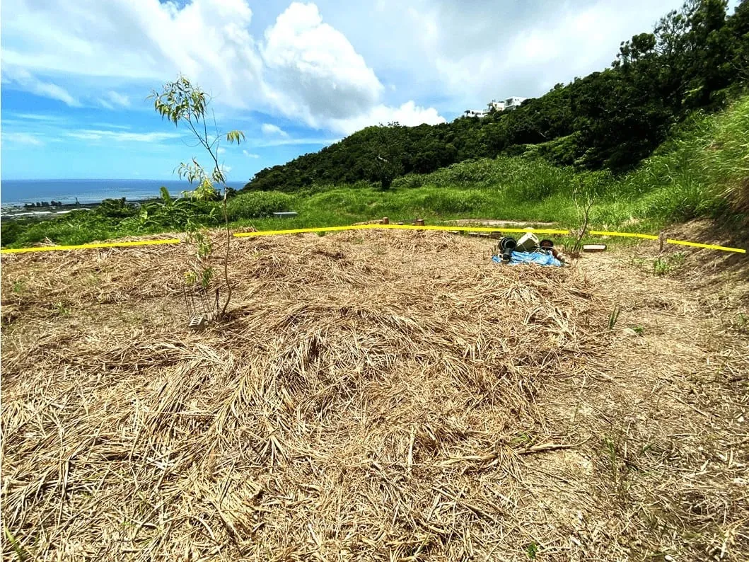 中城村奥間農地215坪